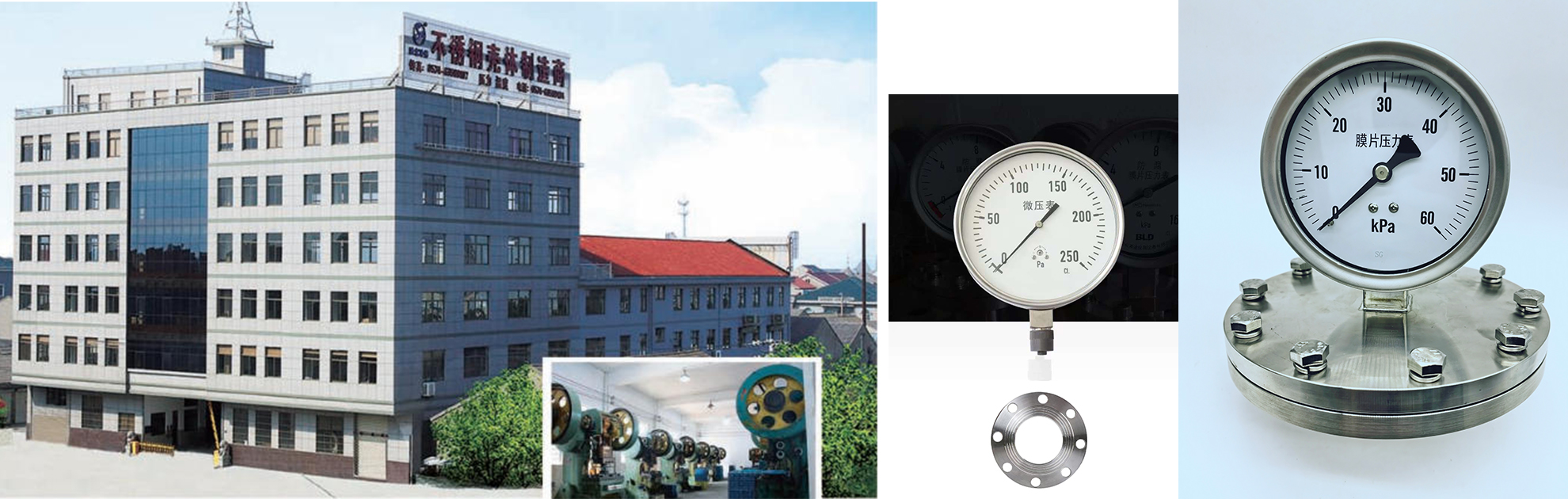 Pressure gauge case 